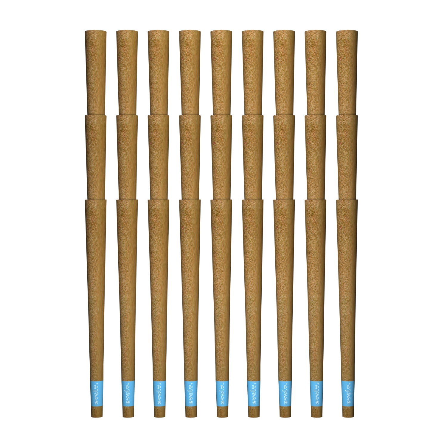 Evolv Pre-Rolled Blunt Cones | 1 1/4 Size: 84mm/ 26mm | 32/Pack