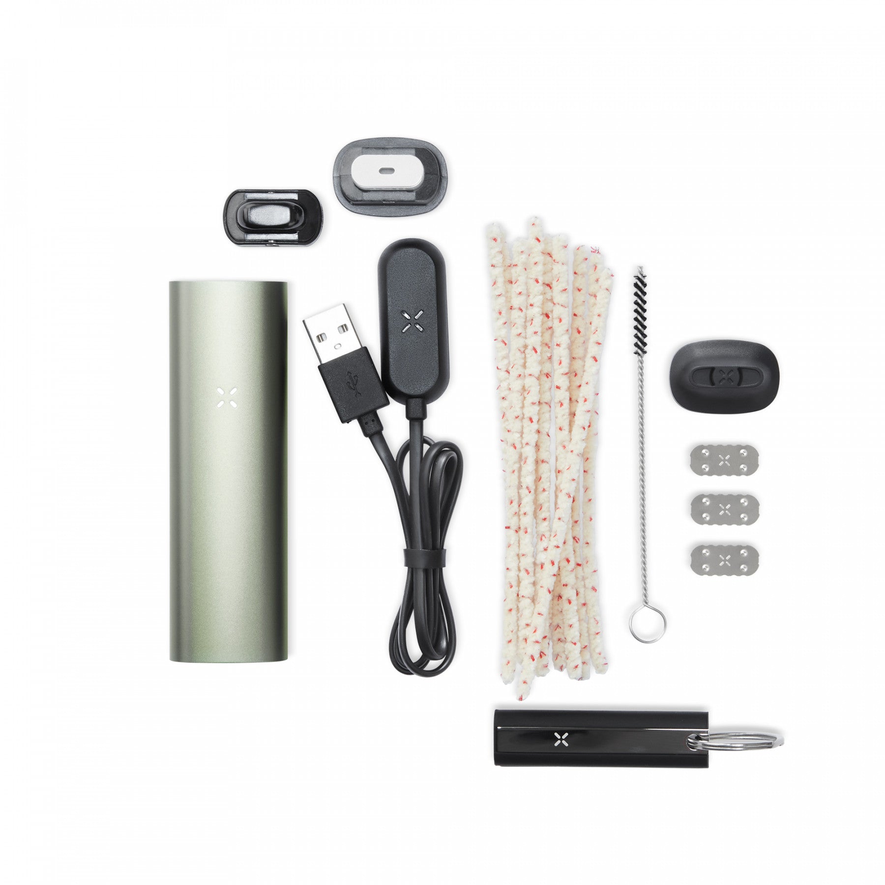 PAX 3 Complete Kit | Sage